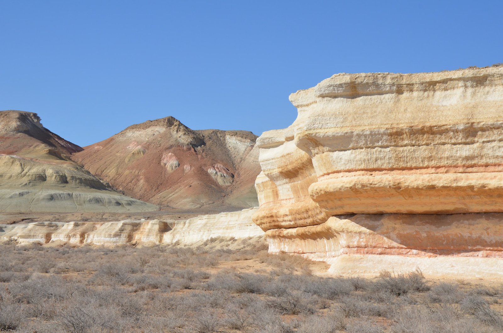 3-Day Aral Sea and Karakalpakstan Adventure from Nukus